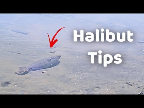 Halibut tips | Drop Shot Rig (EXPLAINED)