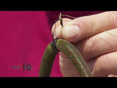 How to Rig Wacky Worms for More Hookups