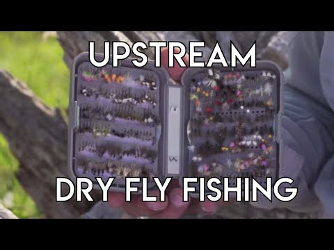 Upstream Dry Fly Fishing | How To