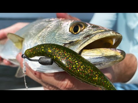 How To Rig &amp; Retrieve Jerk Shads (For Redfish, Snook, Trout, &amp; Flounder)