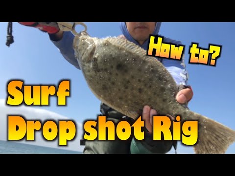 [Drop Shot rig] California Halibut [Surf fishing / How to Tips]