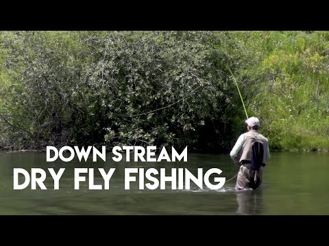 Dry Fly Fishing Down Stream | How To