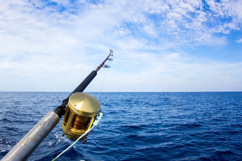 Fishing Rod on the ocean