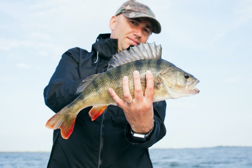 man holding a fish